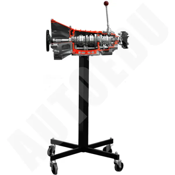 Modello sezionato di cambio manuale